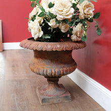 Load image into Gallery viewer, Antique Cast Iron Medici-style Campana shaped Garden Urn Pot Planter B13001
