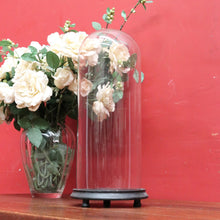 Load image into Gallery viewer, Antique French Napoleon III Glass Cloche or Bell Jar on Black Painted Timber Base. B12314
