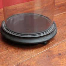 Load image into Gallery viewer, Antique French Napoleon III Glass Cloche or Bell Jar on Black Painted Timber Base. B12314

