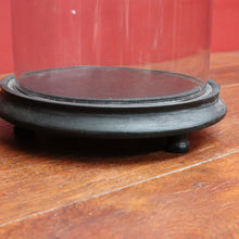 Load image into Gallery viewer, Antique French Napoleon III Glass Cloche or Bell Jar on Black Painted Timber Base. B12314
