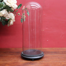 Load image into Gallery viewer, Antique French Napoleon III Glass Cloche or Bell Jar on Black Painted Timber Base. B12314
