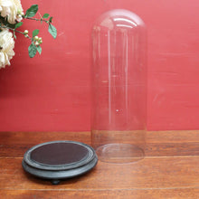 Load image into Gallery viewer, Antique French Napoleon III Glass Cloche or Bell Jar on Black Painted Timber Base. B12314
