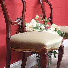 Load image into Gallery viewer, Pair of Australian Cedar Hall Chairs with Carved Floral Detail and Green Seats. B12649
